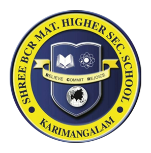 SHREE BCR MAT.HIGHER SEC.SCHOOL logo